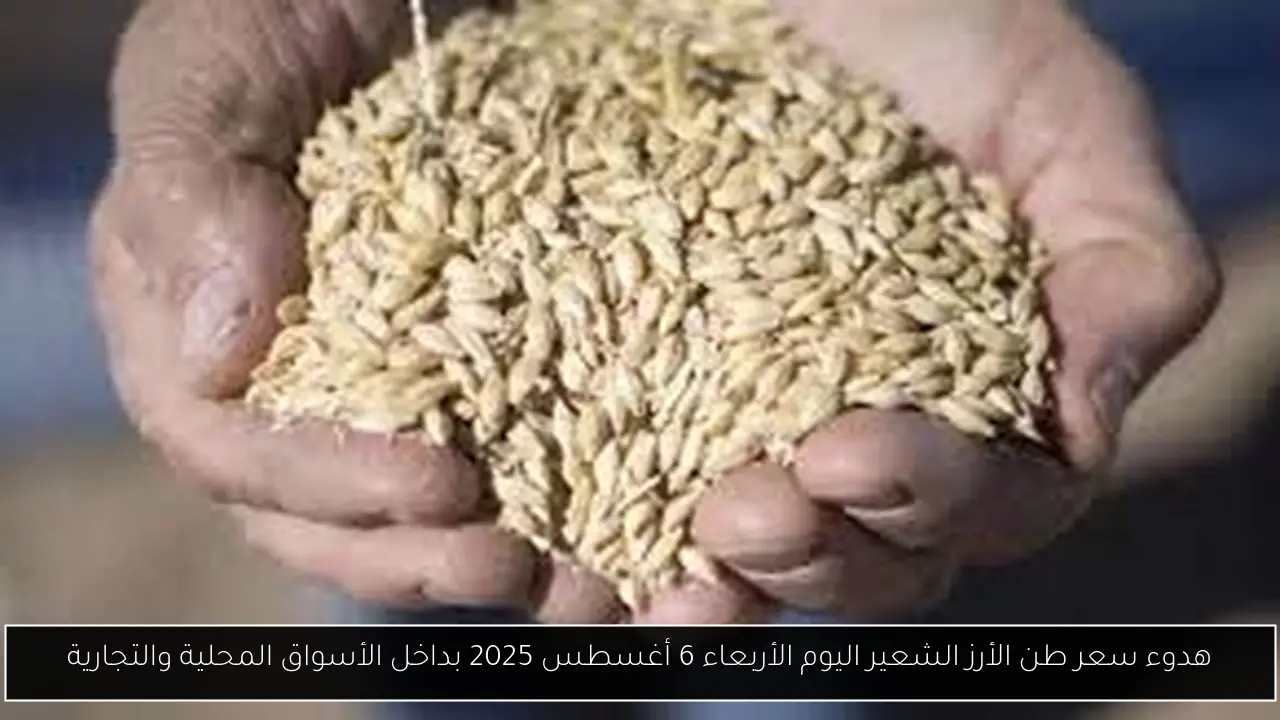 سعر طن الأرز الشعير اليوم