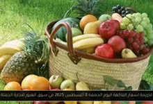 اسعار الفاكهة اليوم