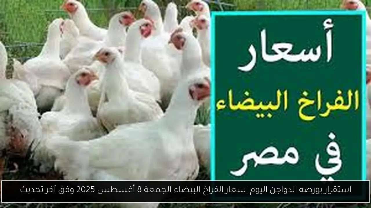 بورصه الدواجن اليوم اسعار الفراخ البيضاء