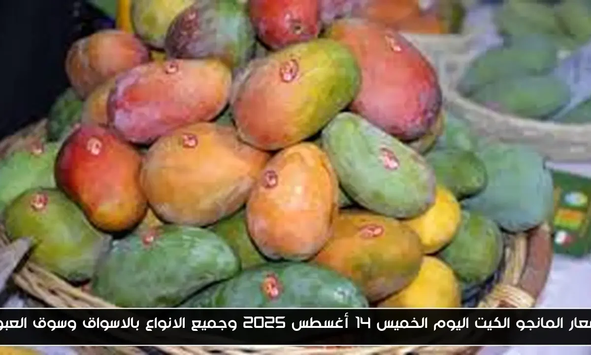 اسعار المانجو الكيت اليوم الخميس 14 أغسطس 2025 وجميع الانواع بالاسواق وسوق العبور