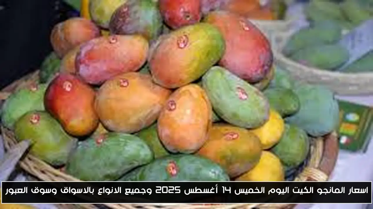 اسعار المانجو الكيت اليوم الخميس 14 أغسطس 2025 وجميع الانواع بالاسواق وسوق العبور