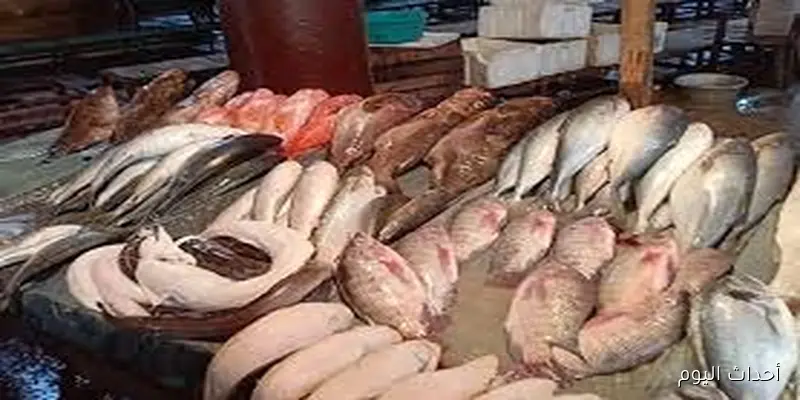 اسعار السمك اليوم الخميس 28 أغسطس 2025 وفق آخر تحديث صادر عن اسواق الجمله وحلقات الاسماك