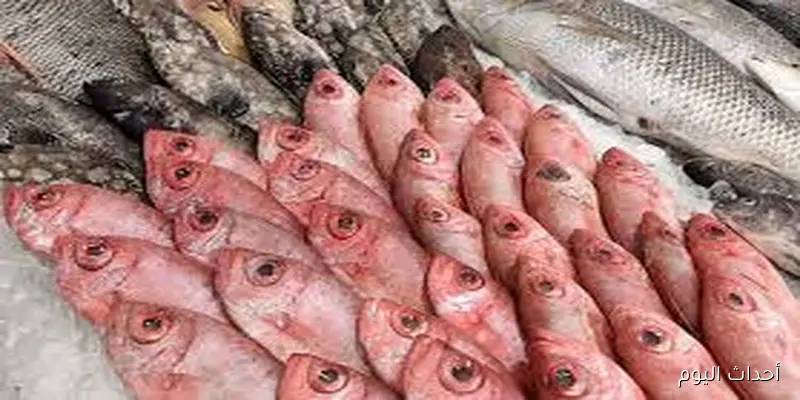 اسعار السمك اليوم في صباح تعاملات اليوم السبت 30 أغسطس 2025 بحلقات الاسماك والاسواق المختلفه