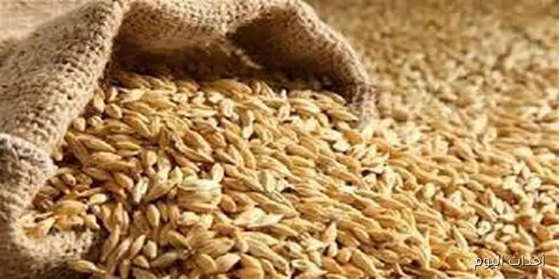 سعر طن الارز الشعير اليوم الاحد 31 اغسطس 2025 وفق آخر تحديث صادر عن مصارب الارز والاسواق