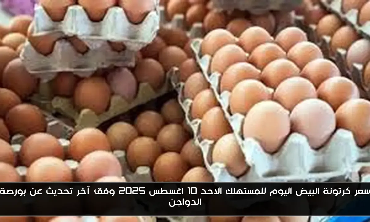 سعر كرتونة البيض اليوم للمستهلك الاحد 10 اغسطس 2025 وفق آخر تحديث عن بورصة الدواجن