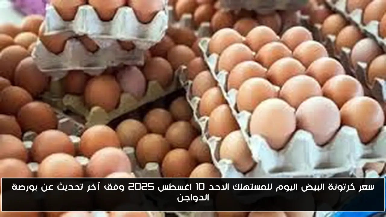 سعر كرتونة البيض اليوم للمستهلك الاحد 10 اغسطس 2025 وفق آخر تحديث عن بورصة الدواجن