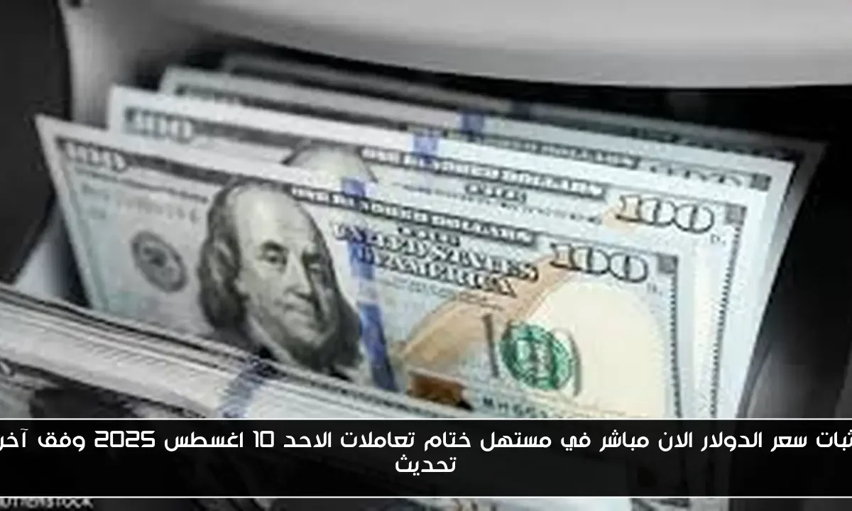 ثبات سعر الدولار الان مباشر في مستهل ختام تعاملات الاحد 10 اغسطس 2025 وفق آخر تحديث