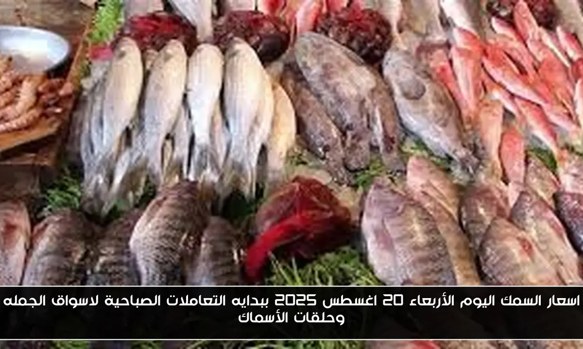 اسعار السمك اليوم الأربعاء 20 اغسطس 2025 ببدايه التعاملات الصباحية لاسواق الجمله وحلقات الأسماك