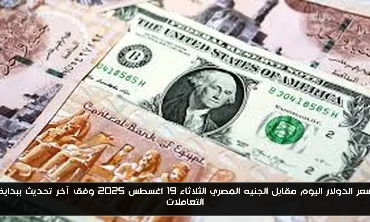 سعر الدولار اليوم مقابل الجنيه المصري الثلاثاء 19 اغسطس 2025 وفق آخر تحديث ببداية التعاملات