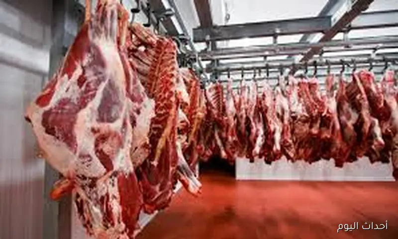 اسعار اللحوم اليوم الخميس 21 أغسطس 2025 بمحلات الجزارة والمنافذ الحكومية المختلفة