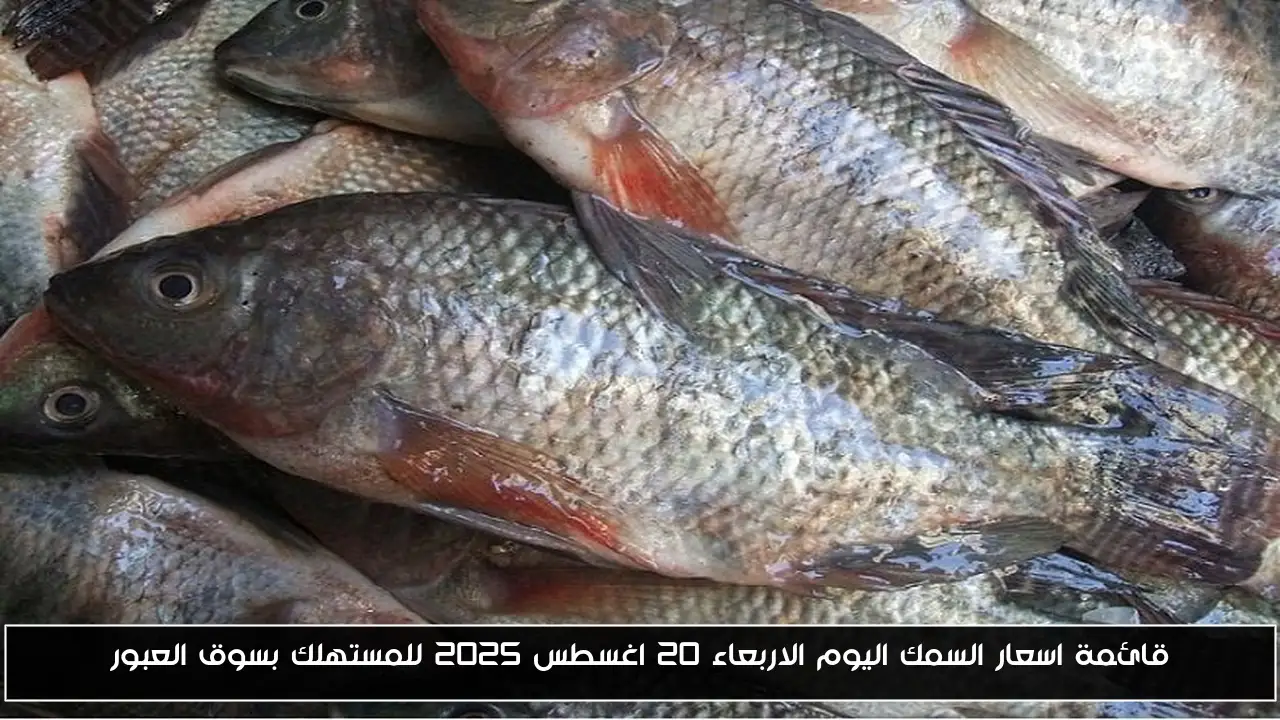 قائمة اسعار السمك اليوم الاربعاء 20 اغسطس 2025 للمستهلك بسوق العبور