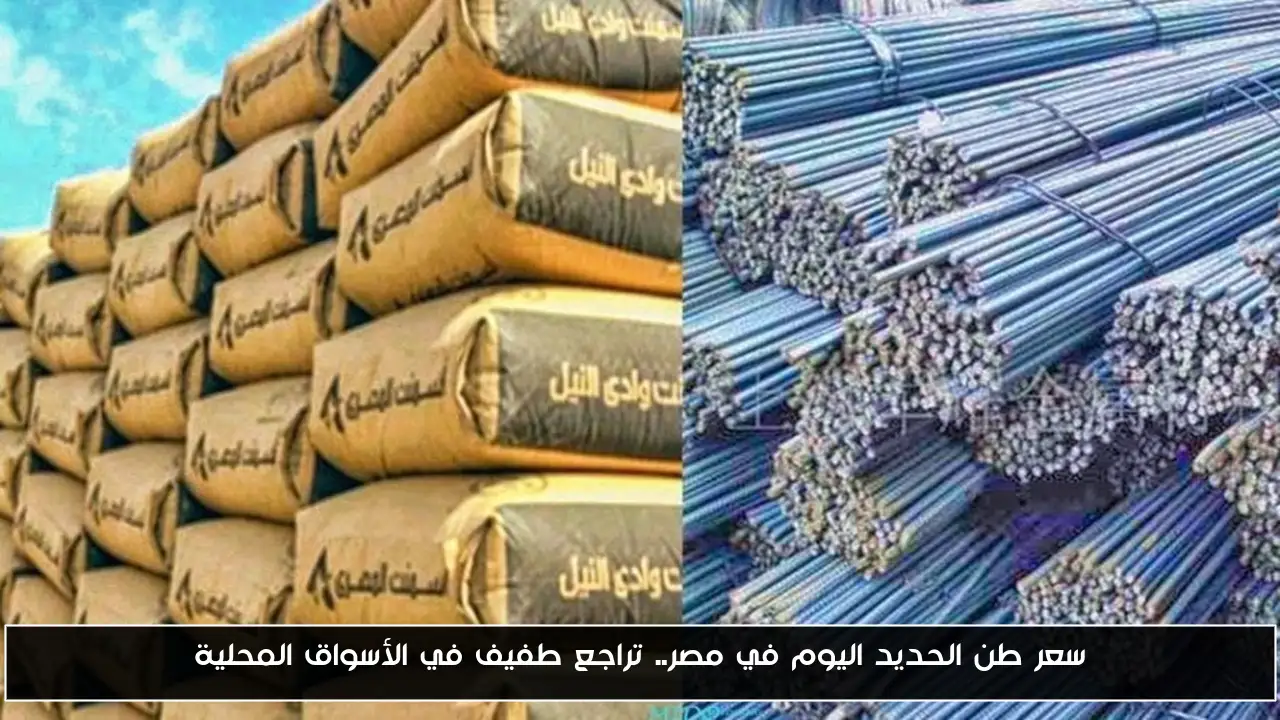 سعر طن الحديد اليوم في مصر.. تراجع طفيف في الأسواق المحلية