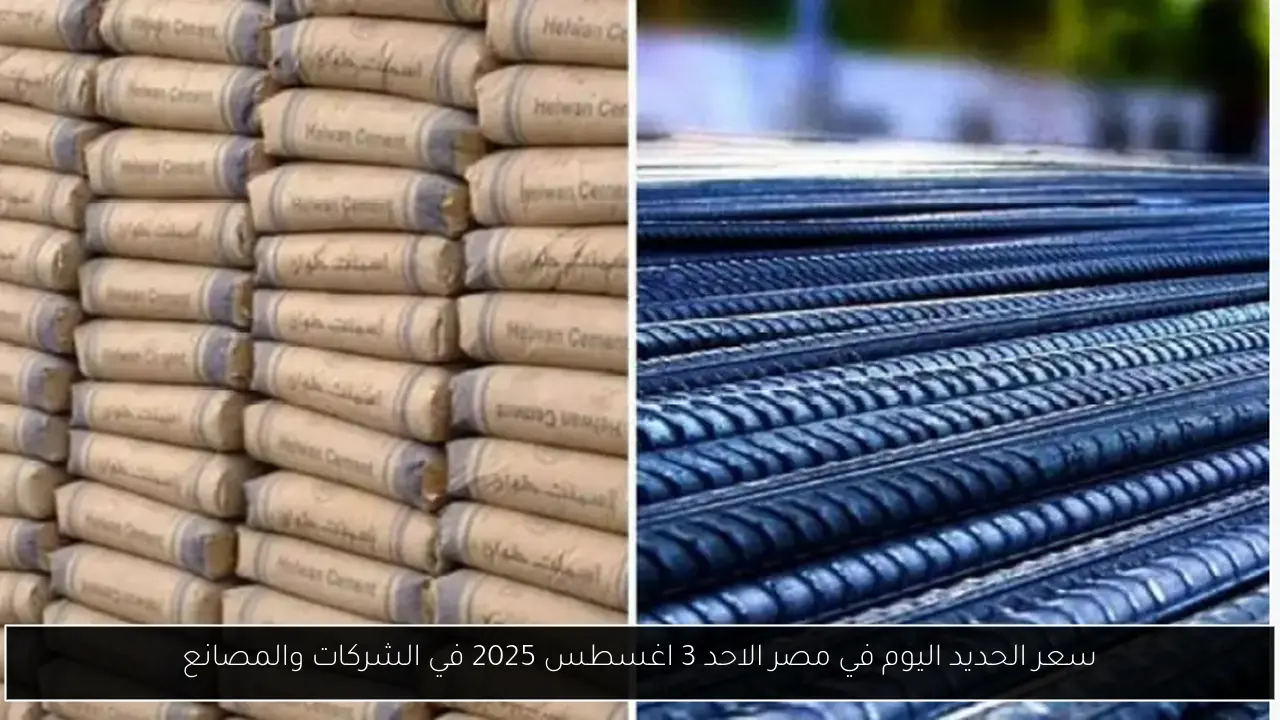سعر الحديد اليوم في مصر