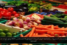 اسعار الخضروات والفاكهة اليوم