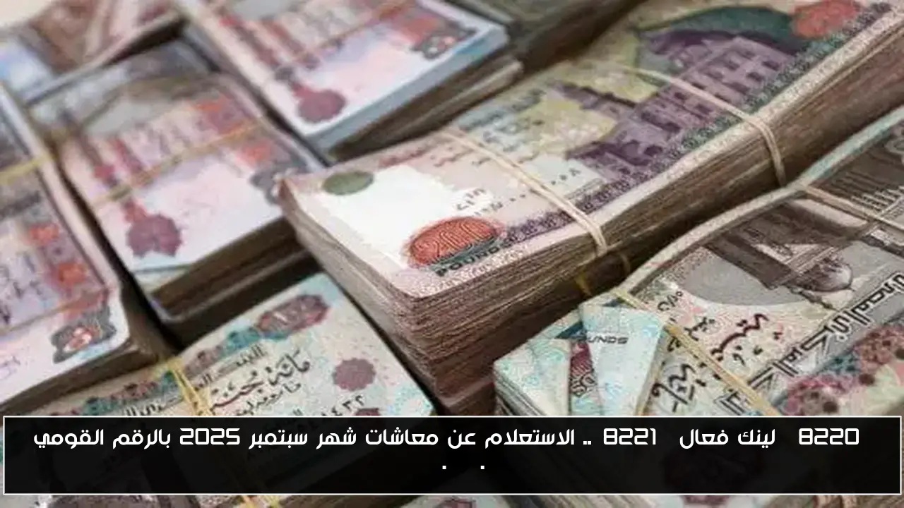 “لينك فعال”.. الاستعلام عن معاشات شهر سبتمبر 2025 بالرقم القومي nosi.gov.eg
