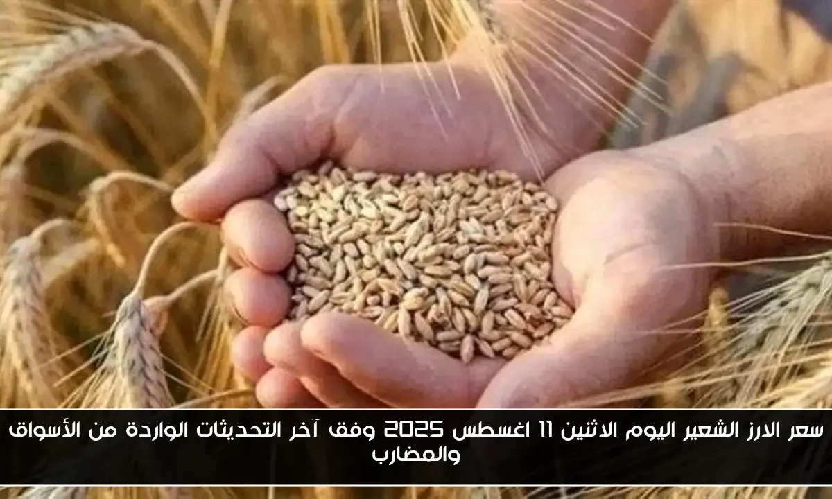 سعر الارز الشعير اليوم الاثنين 11 اغسطس 2025 وفق آخر التحديثات الواردة من الأسواق والمضارب