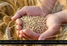 سعر الارز الشعير اليوم
