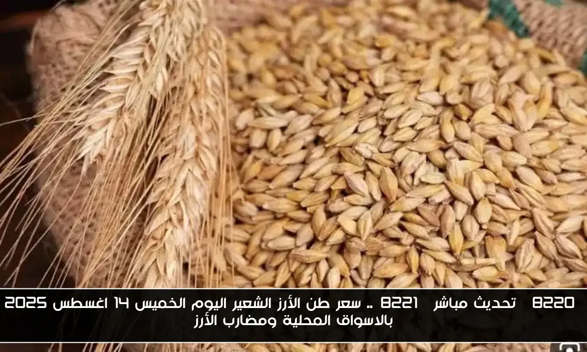 “تحديث مباشر”.. سعر طن الأرز الشعير اليوم الخميس 14 اغسطس 2025 بالاسواق المحلية ومضارب الأرز