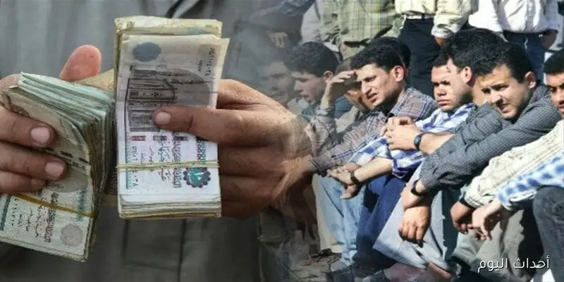 وزارة العمل تحدد موعد صرف منحه المولد النبوي الشريف بالزياده الاخيره المقررة للمرة الثانية في عام 2025
