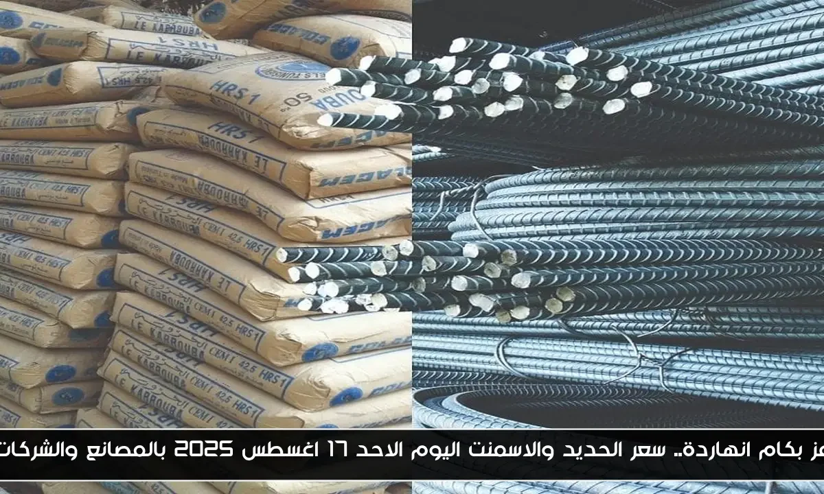 عز بكام انهاردة.. سعر الحديد والاسمنت اليوم الاحد 17 اغسطس 2025 بالمصانع والشركات