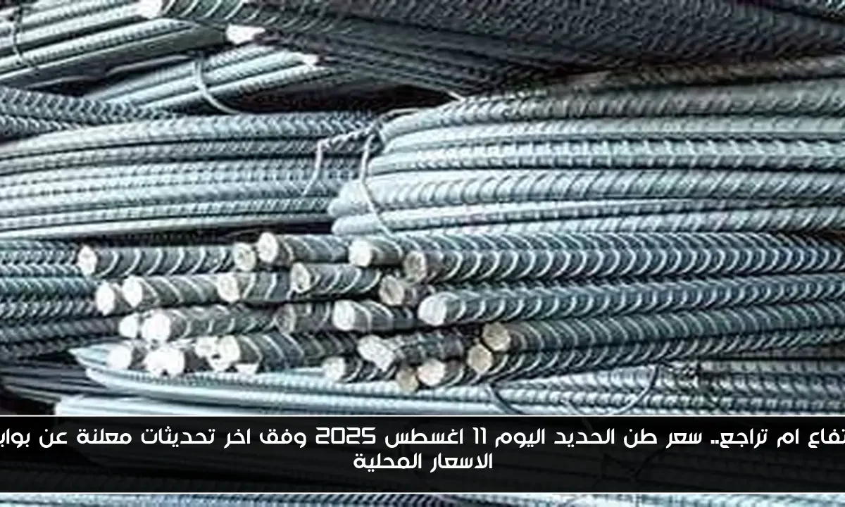 ارتفاع ام تراجع.. سعر طن الحديد اليوم 11 اغسطس 2025 وفق اخر تحديثات معلنة عن بوابة الاسعار المحلية