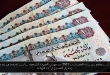 الاستعلام عن زيادة المعاشات 2025
