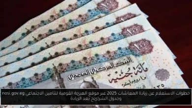 الاستعلام عن زيادة المعاشات 2025