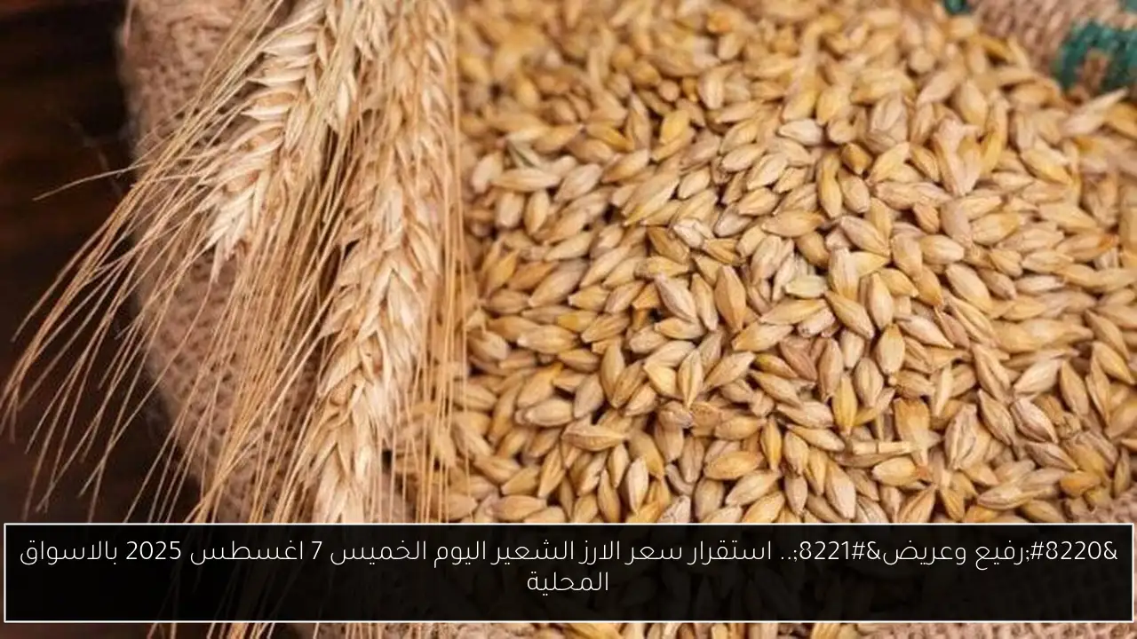 “رفيع وعريض”.. استقرار سعر الارز الشعير اليوم الخميس 7 اغسطس 2025 بالاسواق المحلية