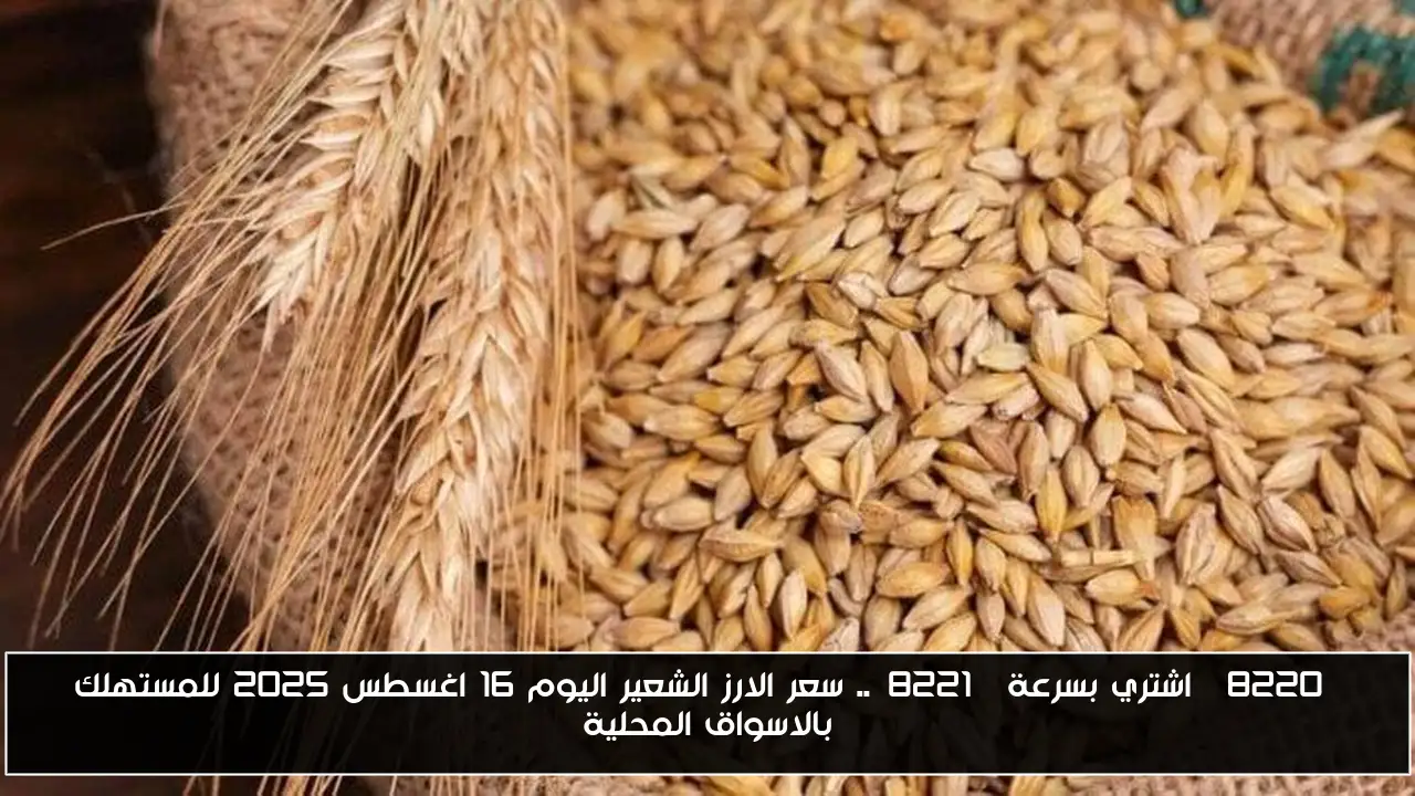 “اشتري بسرعة”.. سعر الارز الشعير اليوم 16 اغسطس 2025 للمستهلك بالاسواق المحلية