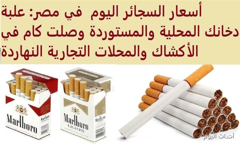 قائمة محدثة لاسعار السجائر اليوم في مصر.. كليوباترا، مارلبورو، LM وأكثر