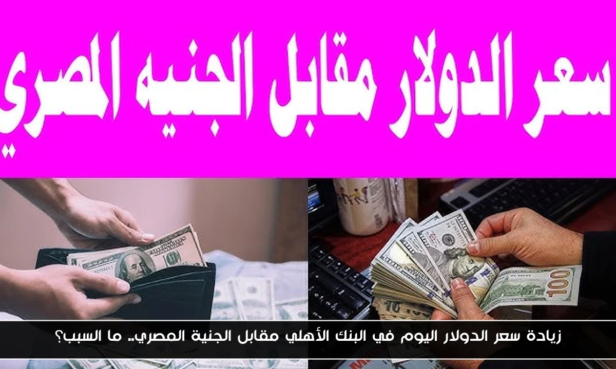 زيادة سعر الدولار اليوم في البنك الأهلي مقابل الجنية المصري.. ما السبب؟