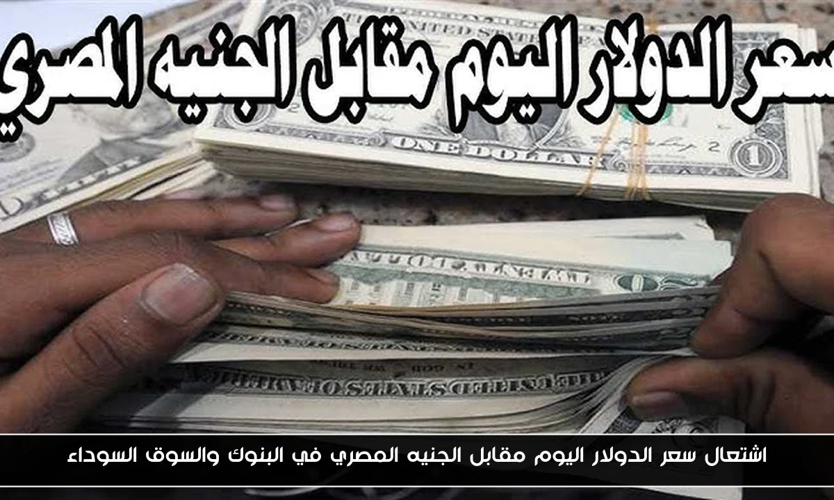 اشتعال سعر الدولار اليوم مقابل الجنيه المصري في البنوك والسوق السوداء