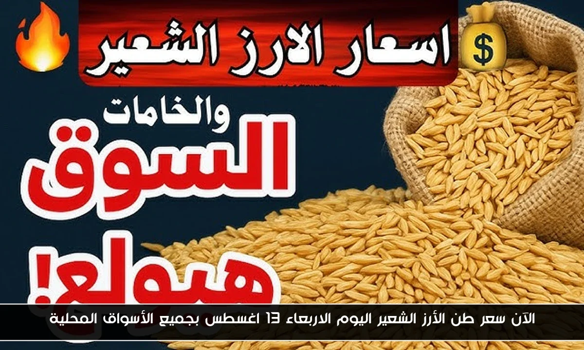 الآن سعر طن الأرز الشعير اليوم الاربعاء 13 اغسطس بجميع الأسواق المحلية