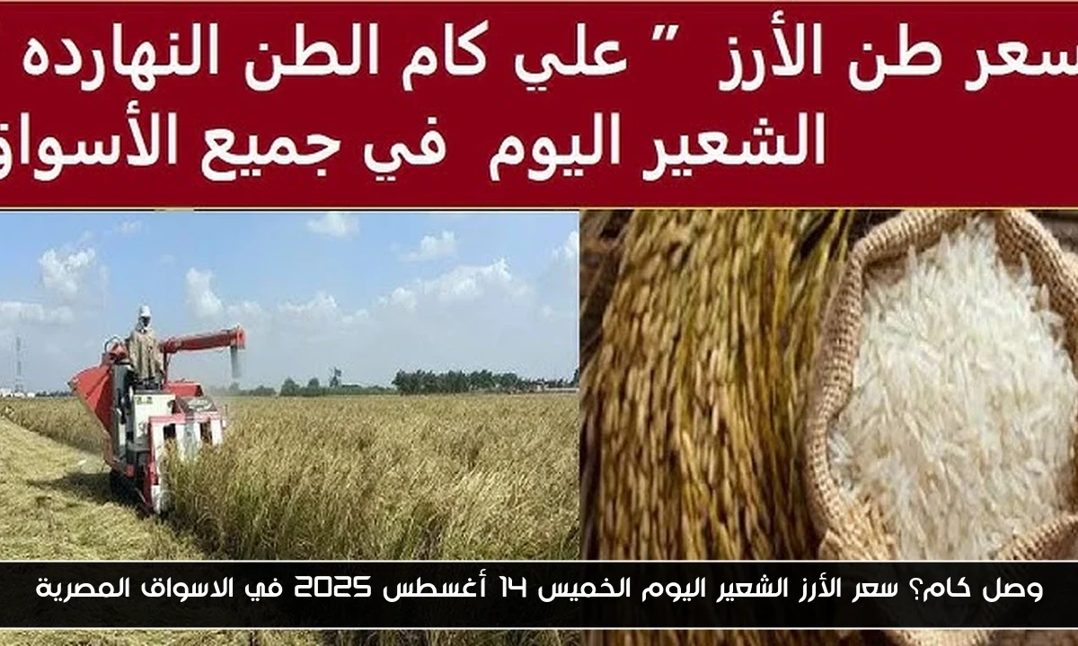 وصل كام؟ سعر الأرز الشعير اليوم الخميس 14 أغسطس 2025 في الاسواق المصرية