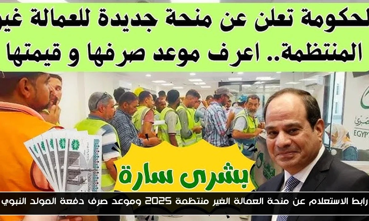 رابط الاستعلام عن منحة العمالة الغير منتظمة 2025 وموعد صرف دفعة المولد النبوي