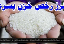 سعر طن الارز الشعير