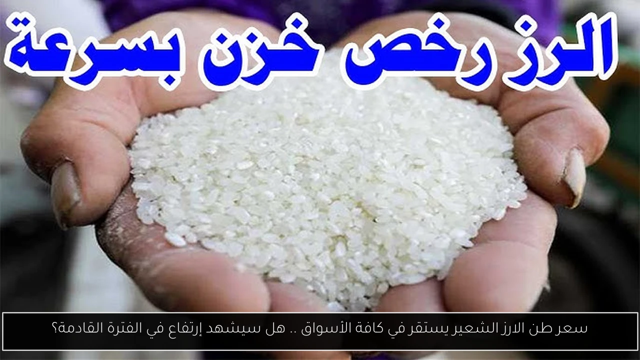 سعر طن الارز الشعير