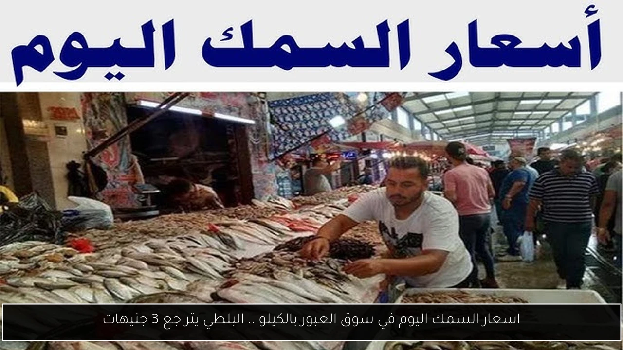 اسعار السمك اليوم في سوق العبور