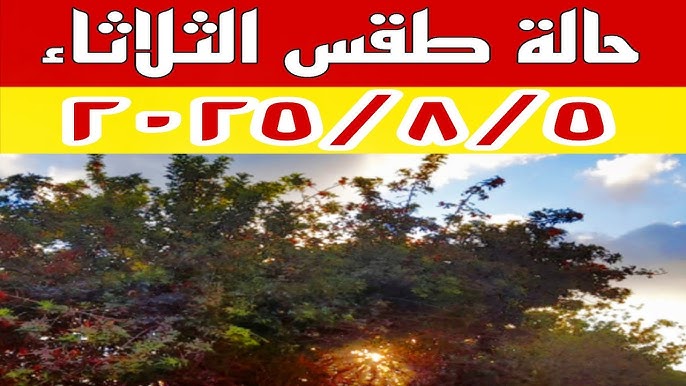 حالة الطقس اليوم