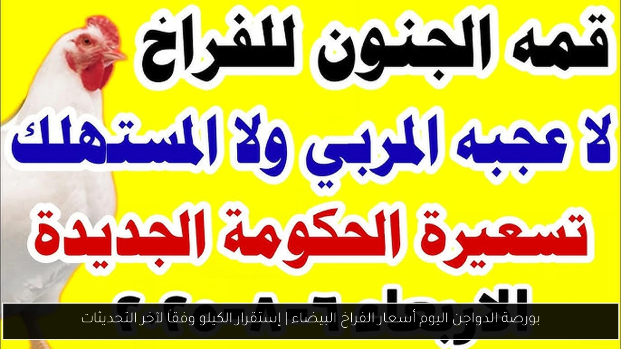 بورصة الدواجن اليوم أسعار الفراخ البيضاء