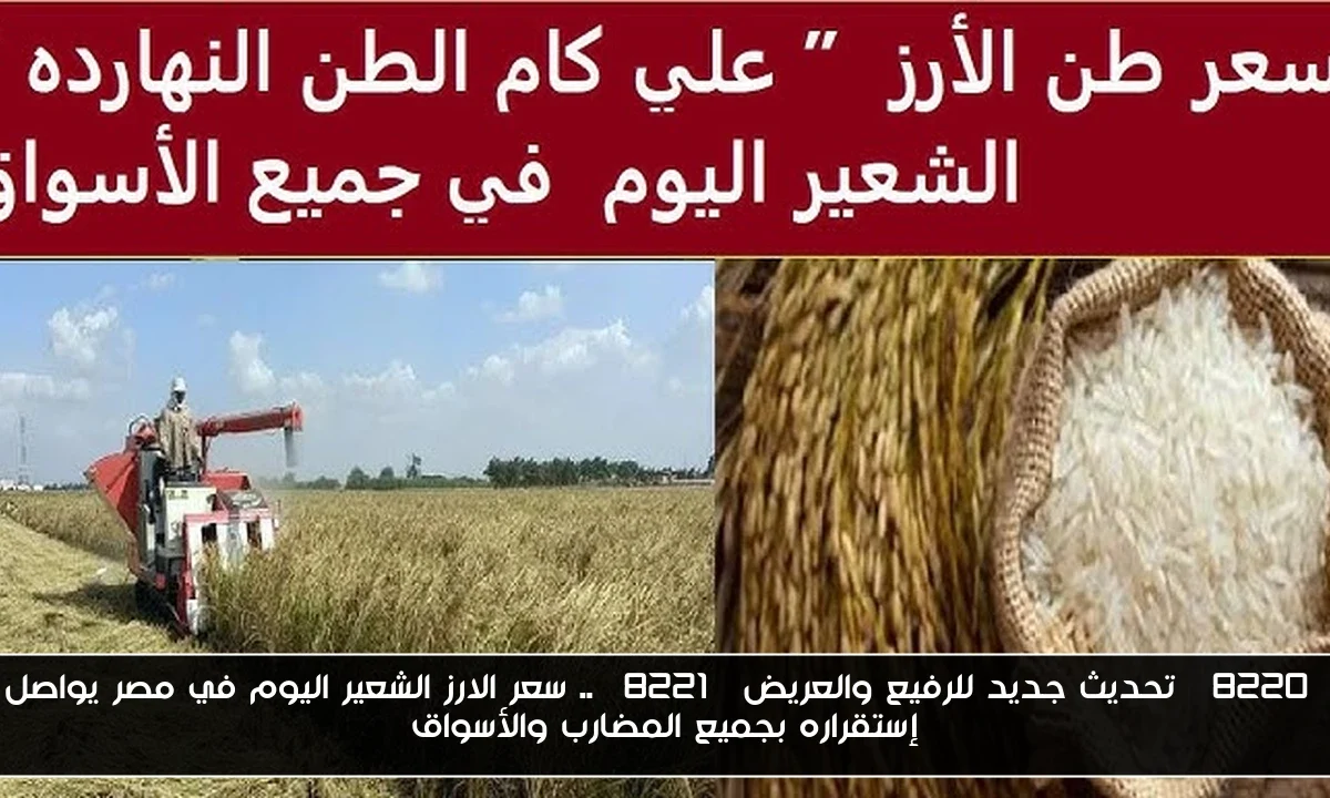 “تحديث جديد للرفيع والعريض” .. سعر الارز الشعير اليوم في مصر يواصل إستقراره بجميع المضارب والأسواق