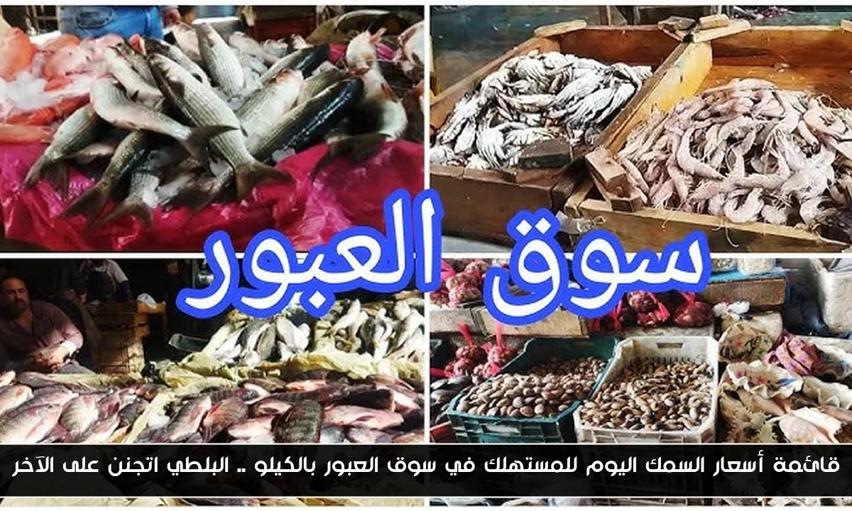 قائمة أسعار السمك اليوم للمستهلك في سوق العبور بالكيلو .. البلطي اتجنن على الآخر