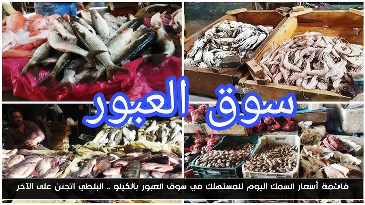 قائمة أسعار السمك اليوم للمستهلك في سوق العبور بالكيلو .. البلطي اتجنن على الآخر