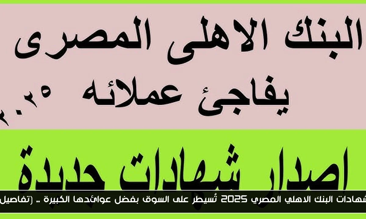 شهادات البنك الاهلي المصري 2025 تُسيطر على السوق بفضل عوائدها الكبيرة .. (تفاصيل)