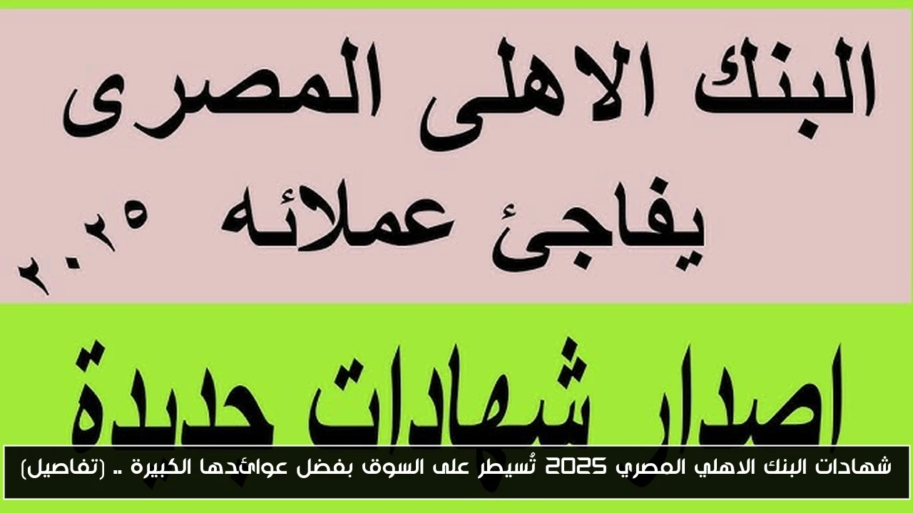 شهادات البنك الاهلي المصري 2025 تُسيطر على السوق بفضل عوائدها الكبيرة .. (تفاصيل)