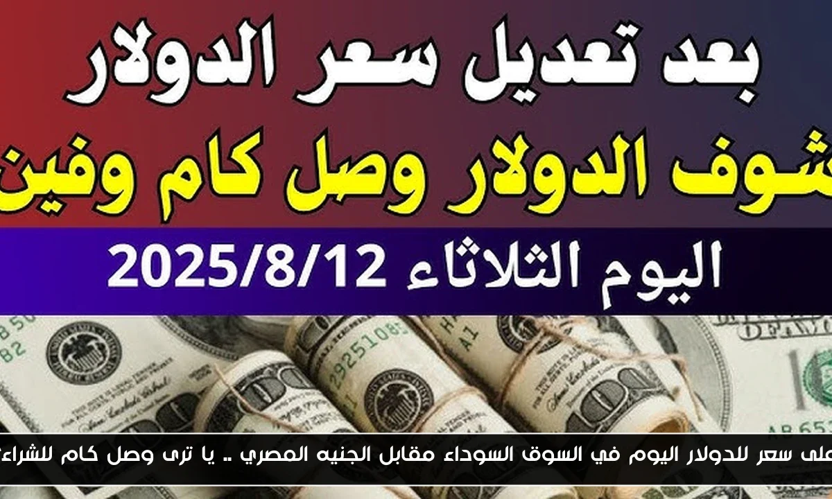 اعلى سعر للدولار اليوم في السوق السوداء مقابل الجنيه المصري .. يا ترى وصل كام للشراء؟