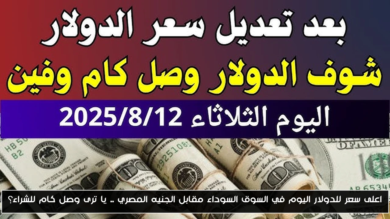 اعلى سعر للدولار اليوم في السوق السوداء مقابل الجنيه المصري .. يا ترى وصل كام للشراء؟