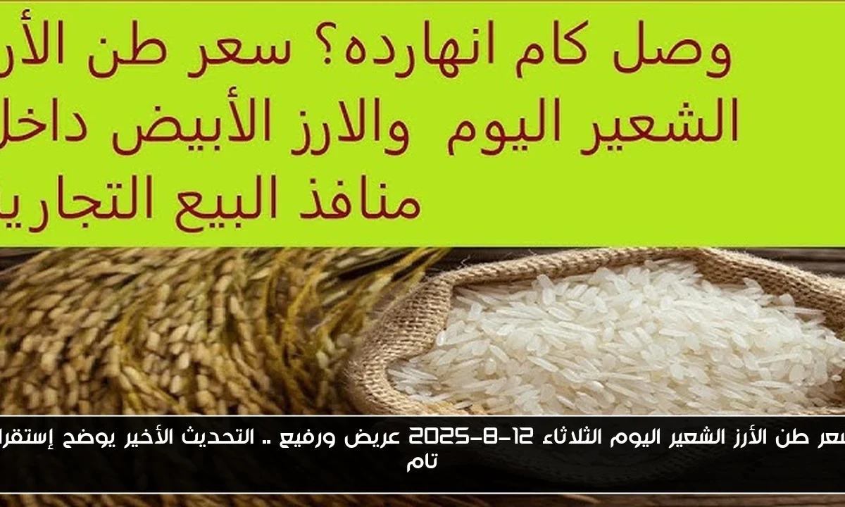 سعر طن الأرز الشعير اليوم الثلاثاء 12-8-2025 عريض ورفيع .. التحديث الأخير يوضح إستقرار تام