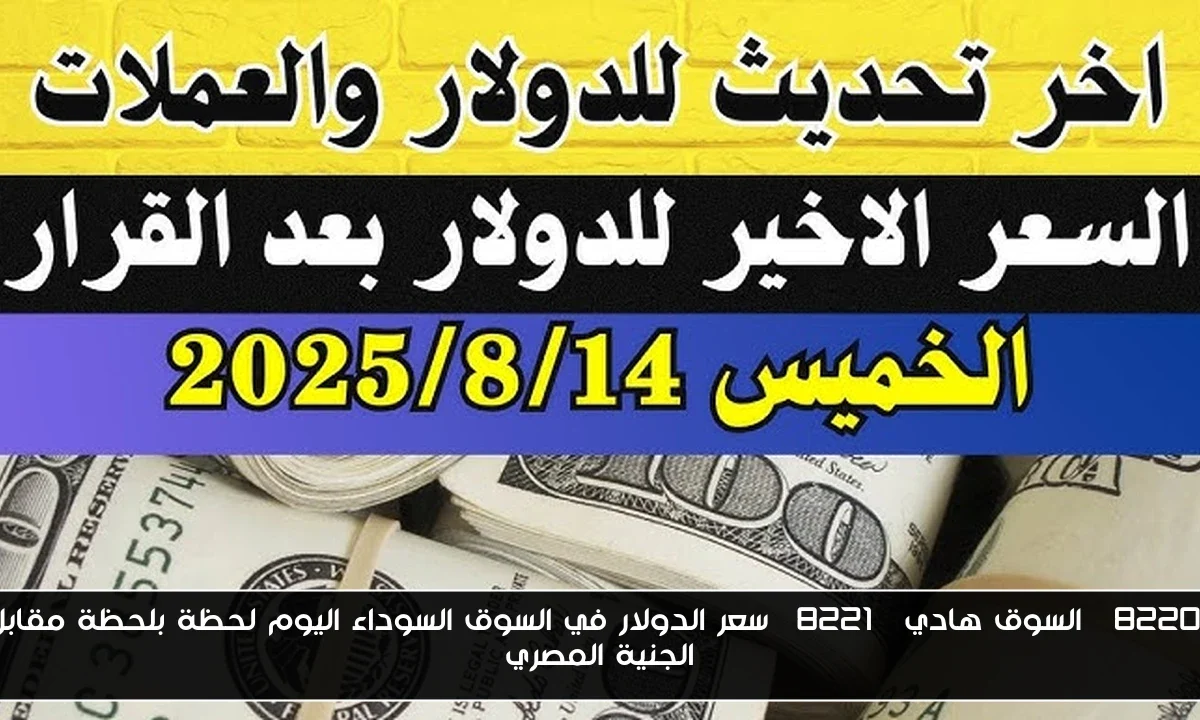 “السوق هادي” سعر الدولار في السوق السوداء اليوم لحظة بلحظة مقابل الجنية المصري