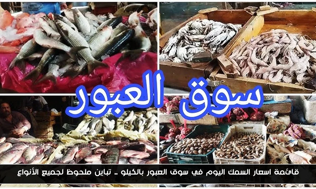 قائمة اسعار السمك اليوم في سوق العبور بالكيلو .. تباين ملحوظ لجميع الأنواع